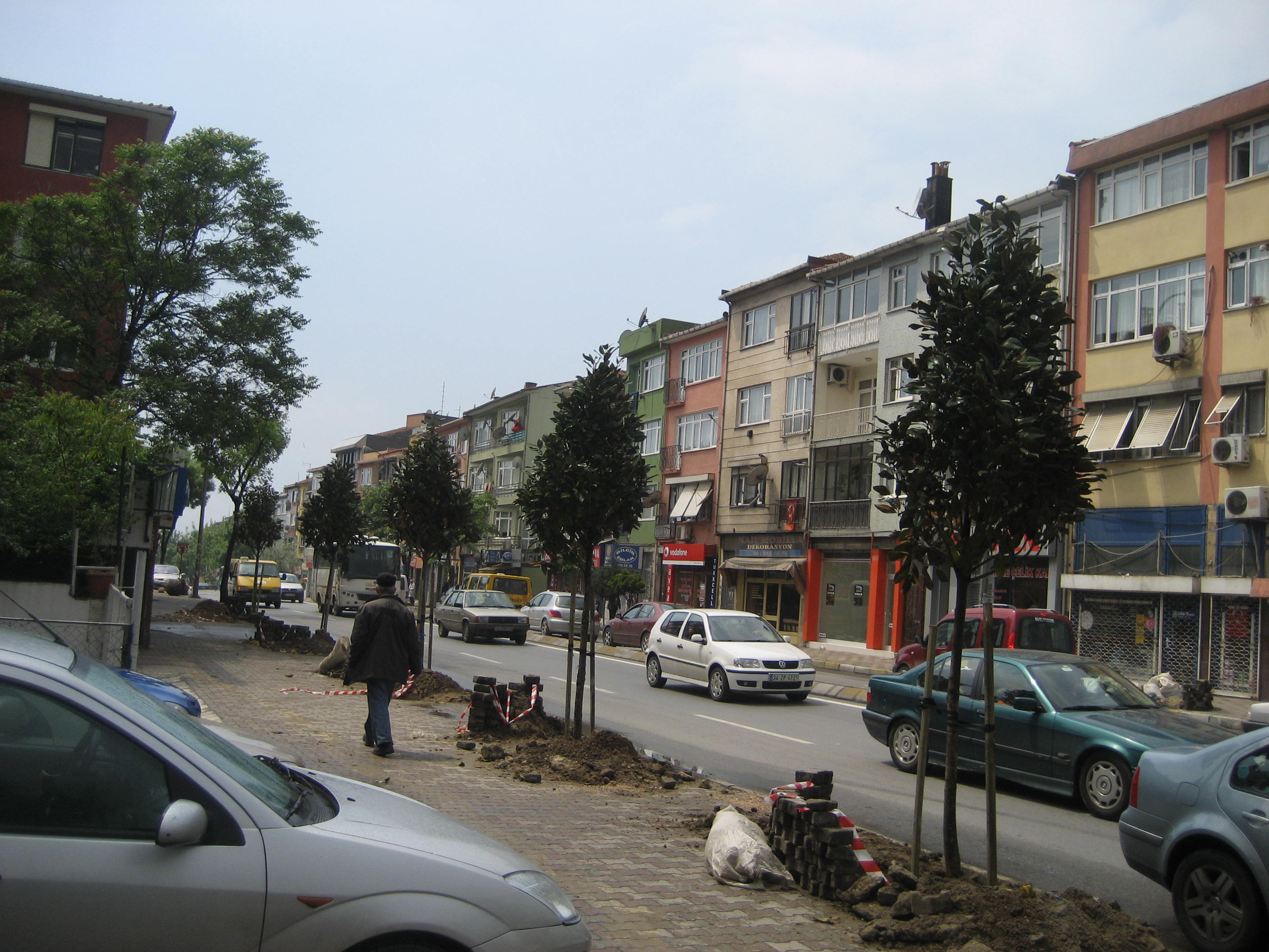 Üsküdar Belediyesi(Yol Ağaçlandırma)